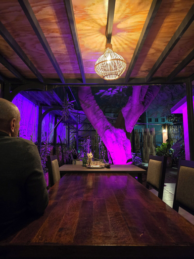Dining 4, Casa del Árbol Xochimilco, Del Centro