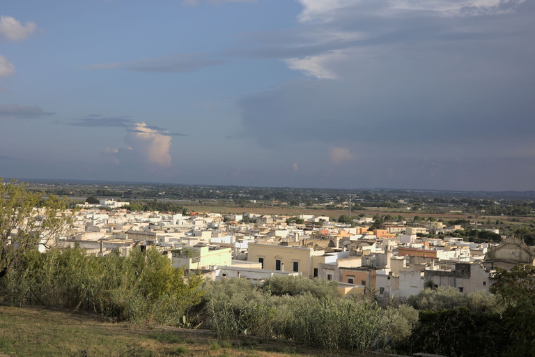 Miscellaneous, Villa Nice Dream With Pool in Neviano, Lecce