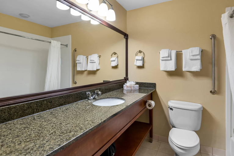 Bathroom 3, Quality Inn Kilmarnock, Lancaster