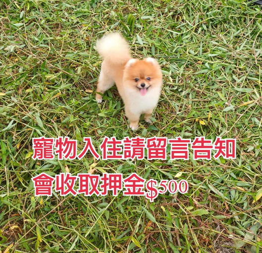 Food & Drinks 5, 騎馬在隔壁Horse Riding Next Door, Yilan