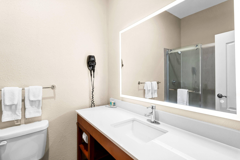 Bathroom 4, Comfort Inn & Suites Grenada, Grenada
