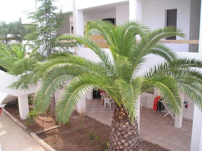 Others 4, Residence Baia Del Gallo, Foggia