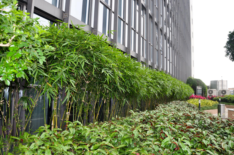 Exterior & Views 2, homewisehotel, Foshan