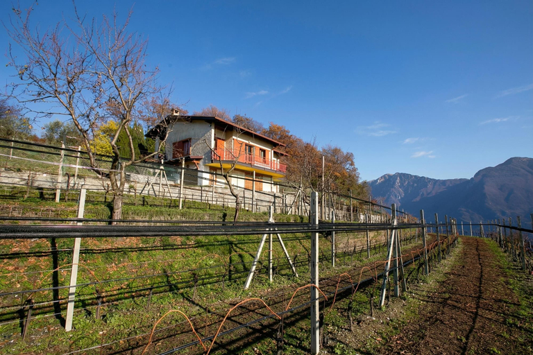 Exterior & Views 2, Balcone Panoramico sul Garda, Brescia