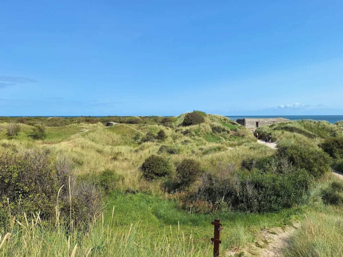 Others 5, person holiday home in Skagen, Frederikshavn