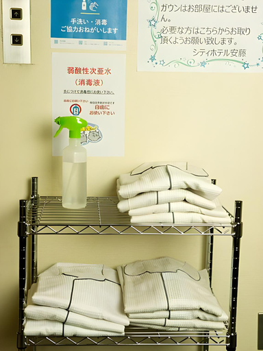 Others 3, City Hotel Ando, Iwakuni