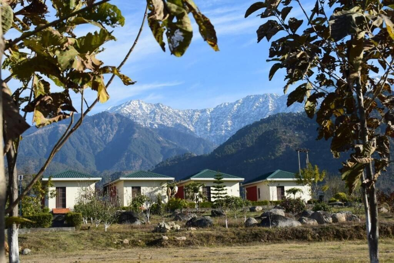 Others 4, Dhauladhar View Village Resort , Kangra