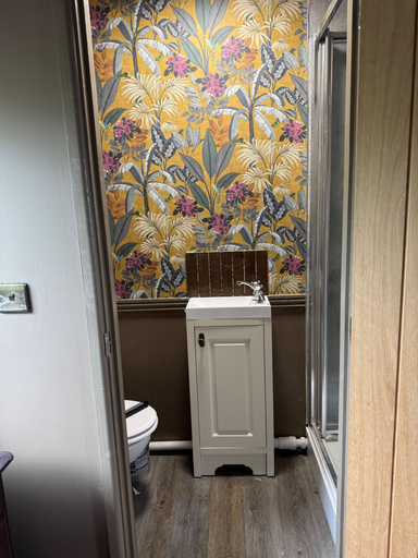Bathroom 3, Llysawelon 2-bed Cottage, Sleeps 4, Pets Ok, Carmarthenshire