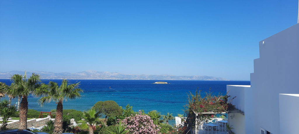 Miscellaneous 5, Blue Dolphin, South Aegean