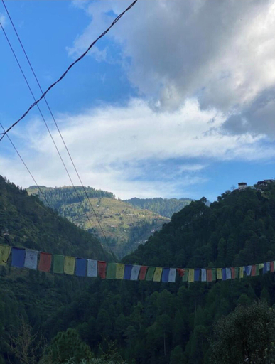 Miscellaneous 2, Himalayan Escape - A Homestay, Shimla