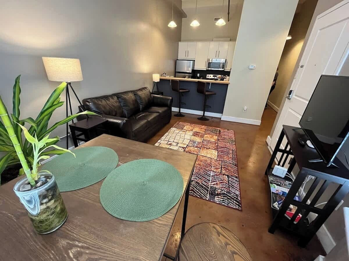 Interior 4, Downtown 1st Floor Apt Walk to Breweries, Food, Roanoke City