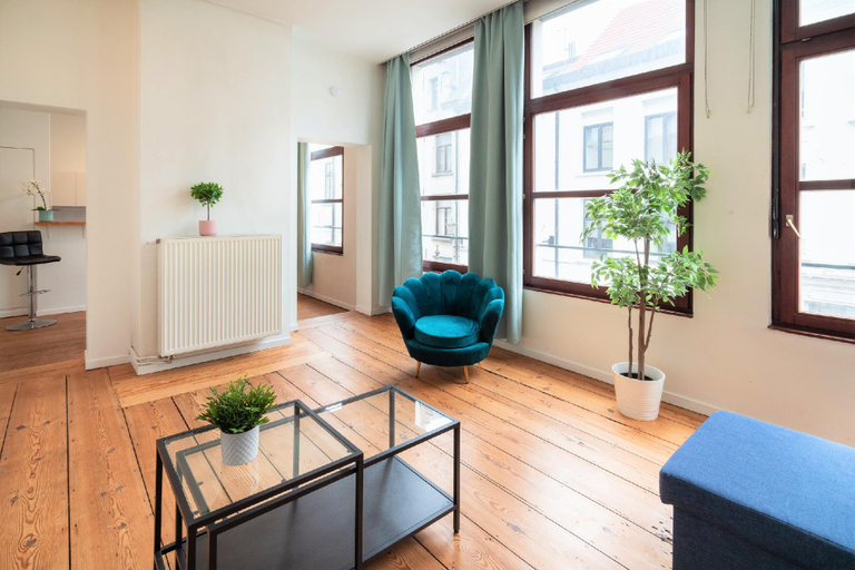 2, Old town lodge Antwerp Apartment, Antwerpen