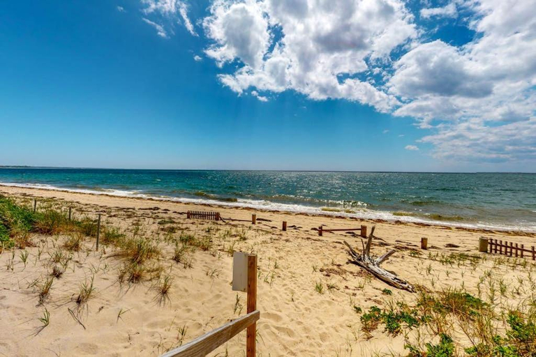 Others 4, Stay Sandy, Barnstable