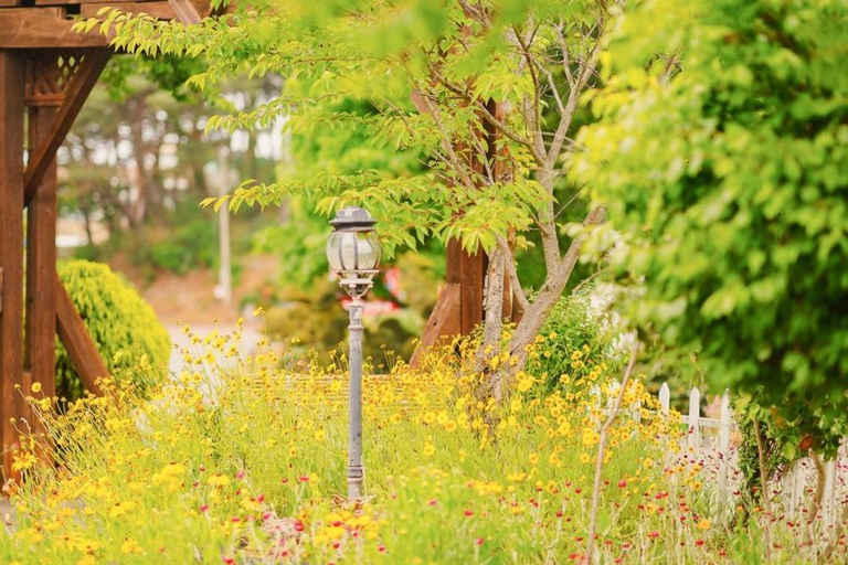 Others 4, ahnmyeondo mabupisung pension, Taean