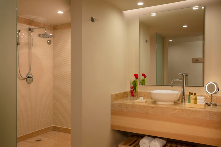 Bathroom 5, Dreams Aventuras Riviera Maya All Inclusive, Cozumel