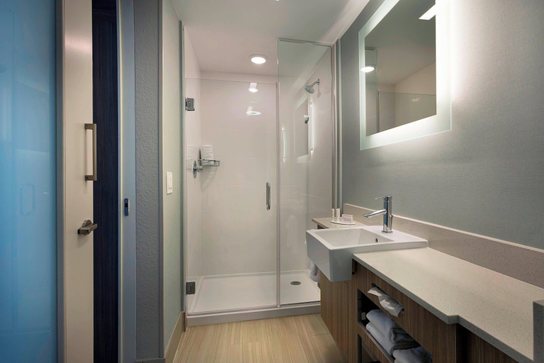 Bathroom 3, Springhill Suites New Smyrna Beach, Volusia