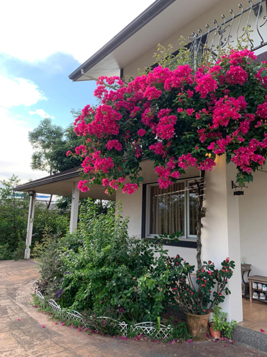 Others 3, POP B&B, Yilan