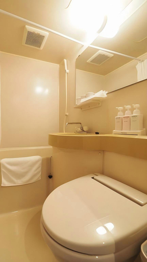 Bathroom, Niigata Hotel Terminal Inn, Niigata