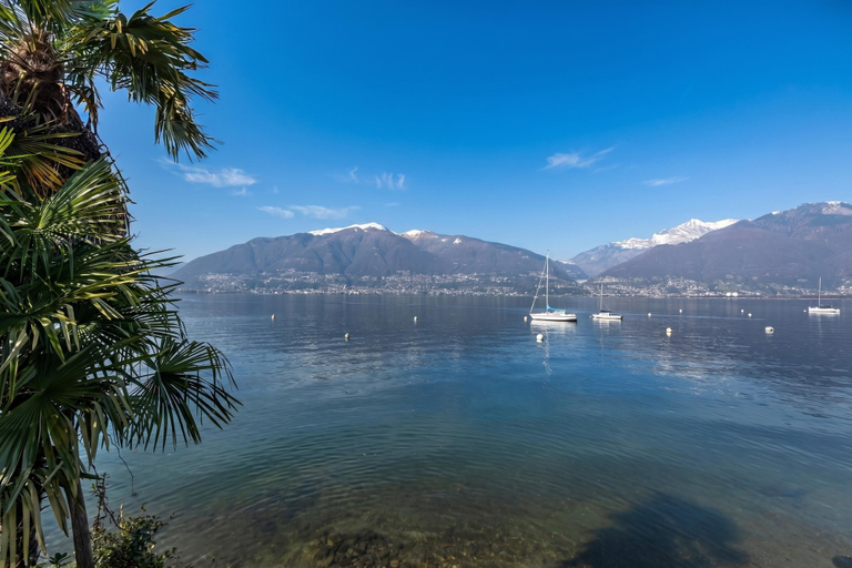 Others 5, Garden on the lake 2, Locarno