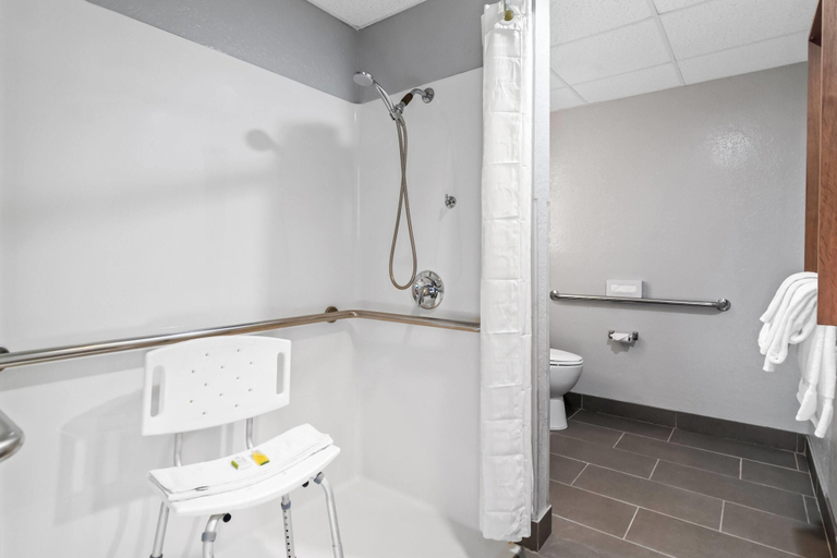 Bathroom 4, Microtel Inn & Suites By Wyndham Joplin, Newton