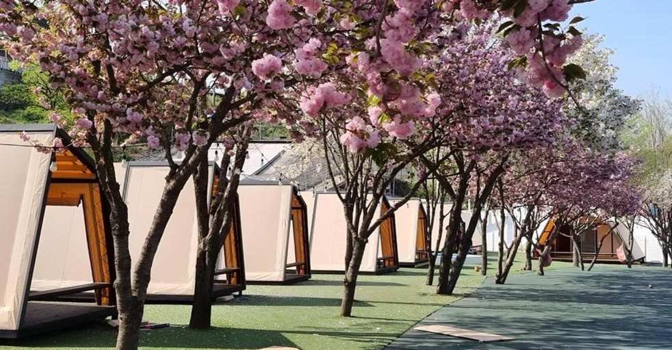 Others 5, Cheongdo Provence Glamping, Gyeongsan