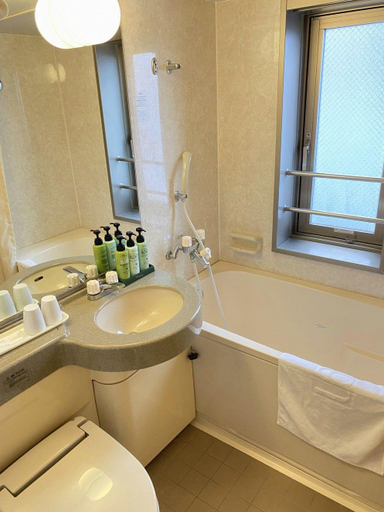 Bathroom 3, Hotel New Green Okachimachi, Taitō