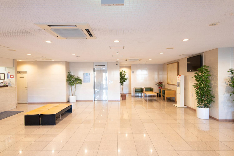 Public Area 2, Yono Daiichi Hotel, Saitama
