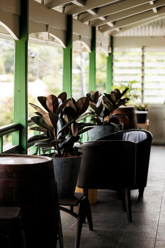 Balcony/terrace 3, Maleny Hotel, Caloundra - Hinterland