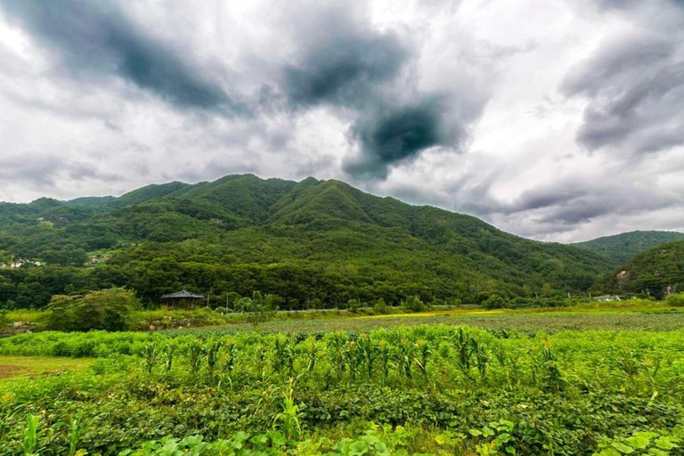 Others 5, danyang deulggochyanggi, Danyang