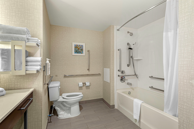 Bathroom 4, Hampton Inn & Suites Alachua I-75, Alachua