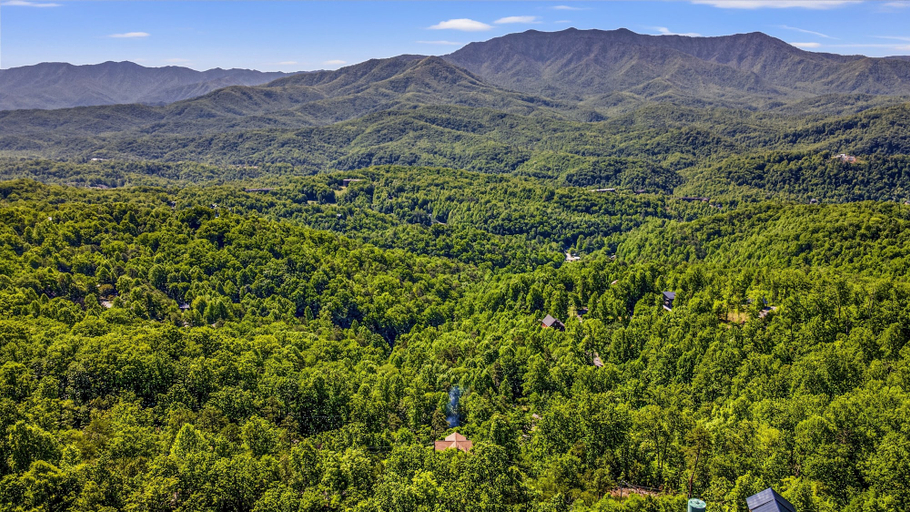 Miscellaneous 4, A Tree Top View 3 Bedroom Home, Sevier