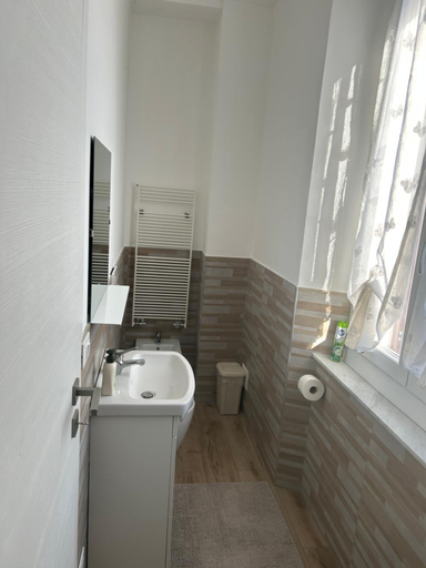 Bathroom, Casa Viorica, Ancona