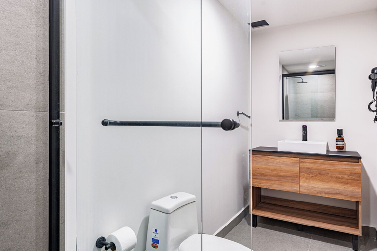 Bathroom 2, Polanco Luxury Apartments, Mexico City