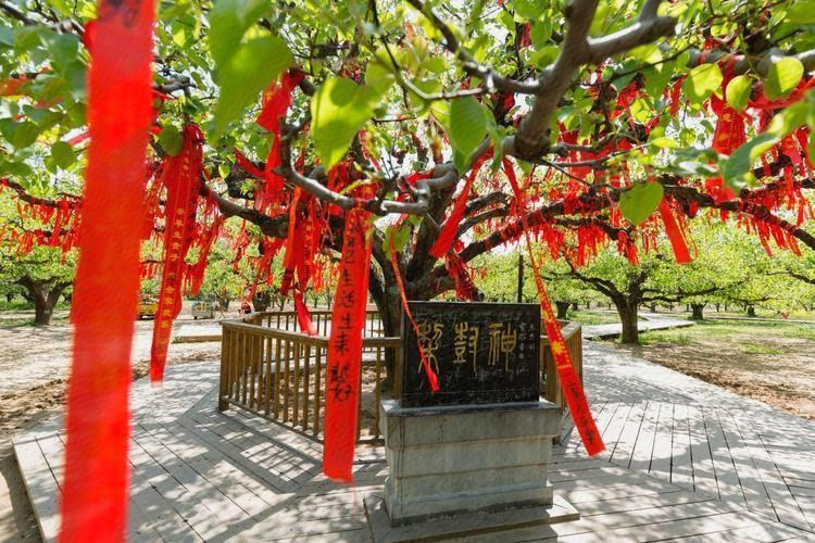 Others 5, 7 Days Inn· Suzhou Development Zone, Suzhou