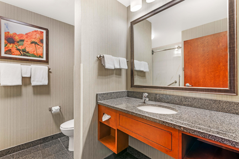 Bathroom, Drury Inn Pikes Peak Colorado Springs, El Paso