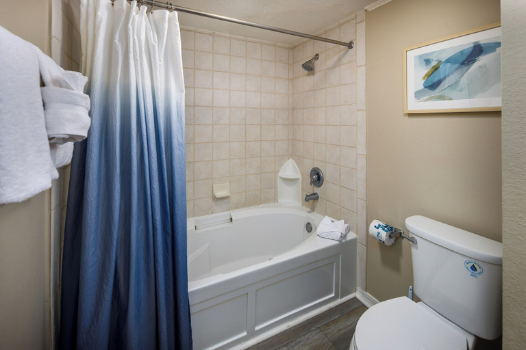 Bathroom 3, Island Princess 610 - Sunshine Sands, Okaloosa