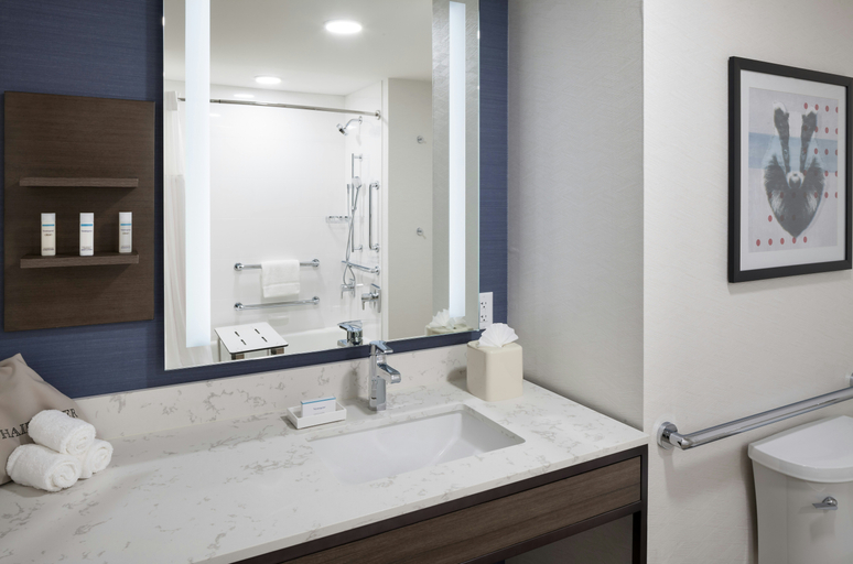 Bathroom 4, Hilton Garden Inn Madison Downtown, Dane