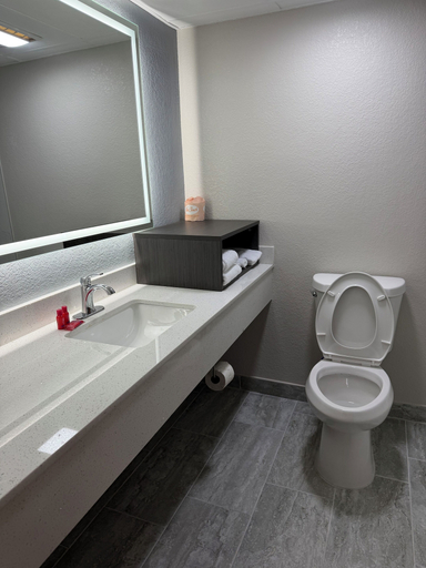 Bathroom 4, SureStay by Best Western Charlotte Matthews, Mecklenburg