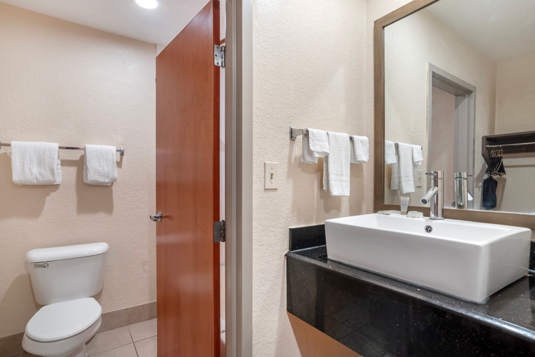 Bathroom 5, Red Roof Inn & Suites Vicksburg, Warren