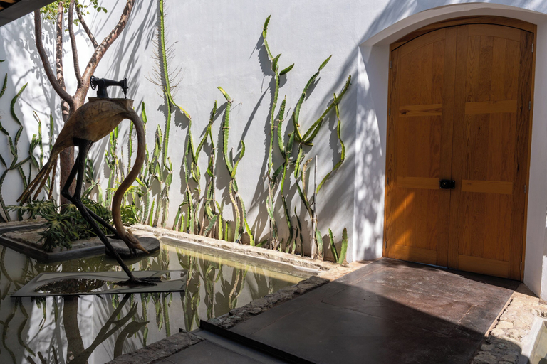Interior entrance, Casa Carmen Xólotl, Del Centro