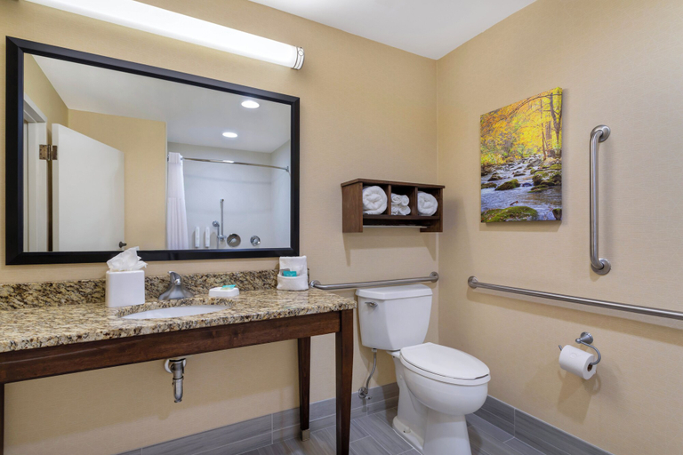 Bathroom 5, Clarion Pointe Cherokee, Swain