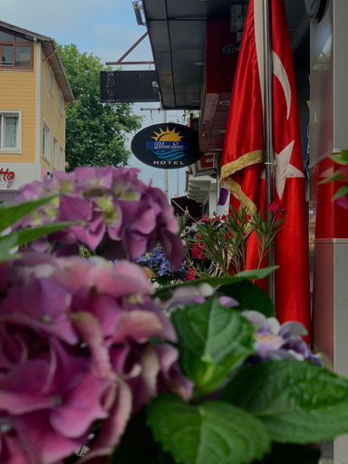 Exterior & Views 2, Blue Sea Hotel, Gebze