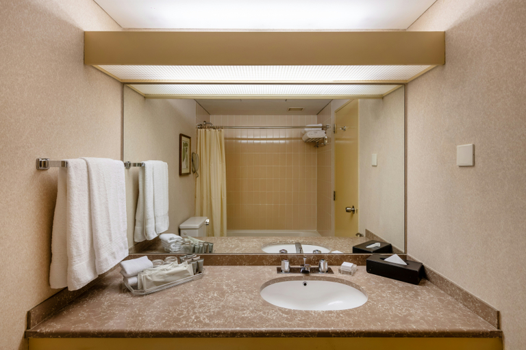 Bathroom 4, Hilton Hotel Colombo, Colombo