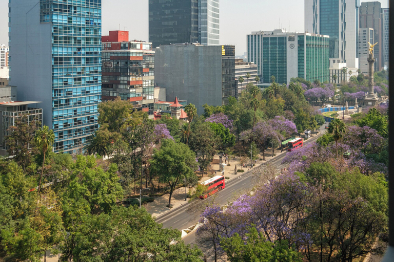 View from property 3, Nido Reforma, Mexico City