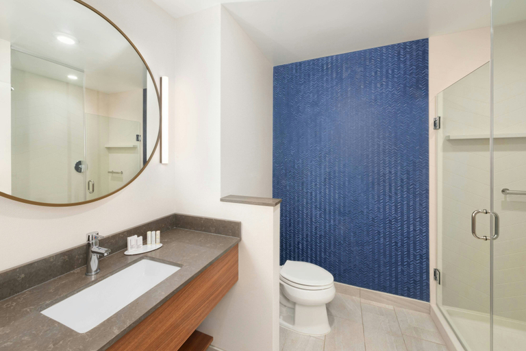 Bathroom 5, Fairfield Inn & Suites Santee, Orangeburg