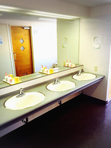 Others 5, Flower Hotel, Kitakami