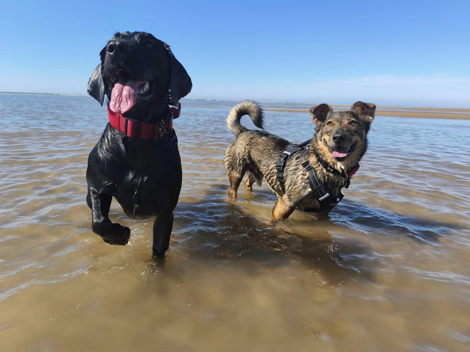Pet-friendly, First Floor Studio Apartment at Sea-cote, Blackpool