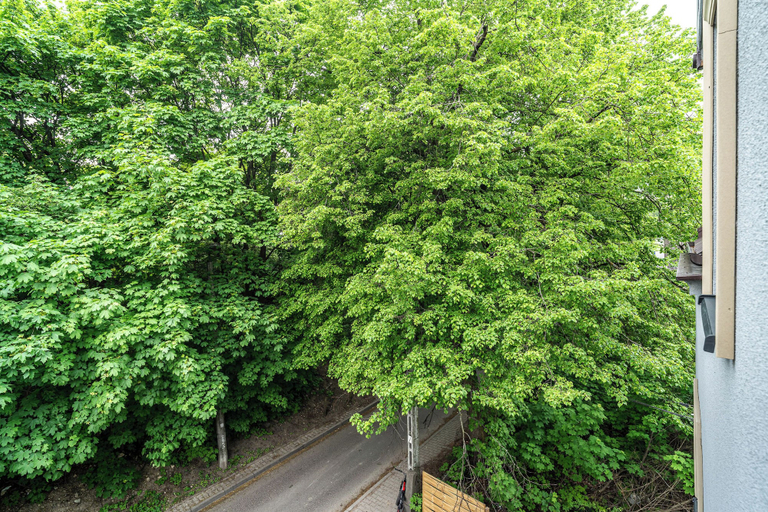 Miscellaneous, RentPlanet - Apartament Lanckorońska, Kraków City