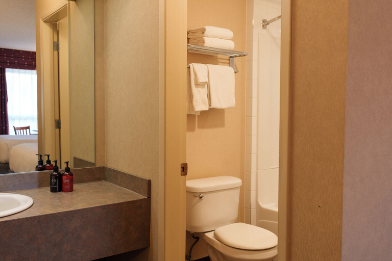 Bathroom 4, Marmot Lodge, Division No. 15