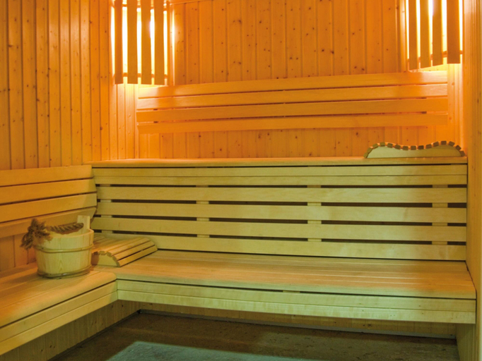 Sauna, Ski Chalet Apartment for 6, Hautes-Pyrénées